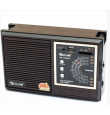 Радио RX-99UAR Golon с аккумулятором (16)