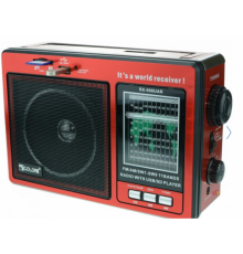 Радио RX-006 Golon с аккумулятором (16)
