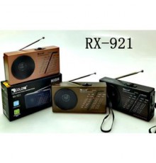 Радио RX-921BT Golon с аккумулятором (100)