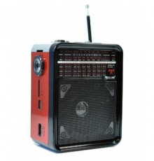 Радио RX-9100 Golon с аккумулятором (24)
