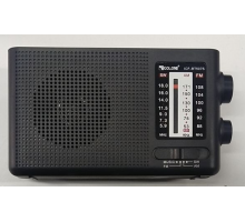 Радио BT507S Golon с аккумулятором (80)