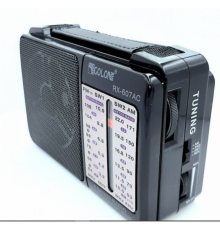 Радио RX-607 Golon с аккумулятором (40)